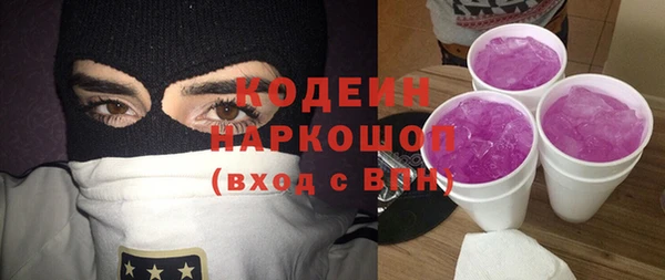эйфоретик Бородино
