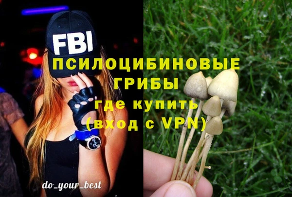 ГАЛЛЮЦИНОГЕННЫЕ ГРИБЫ Бугульма