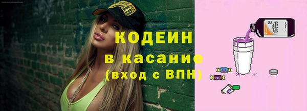 эйфоретик Бородино