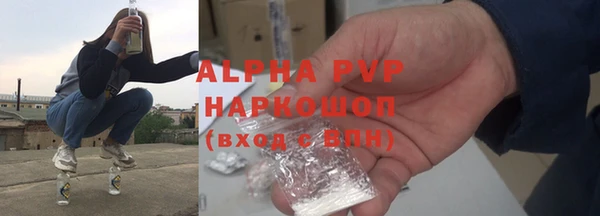 эйфоретик Бородино