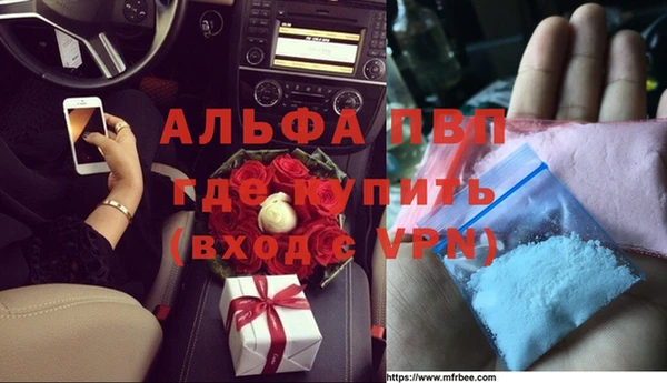 эйфоретик Бородино
