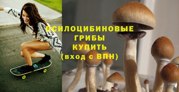 эйфоретик Бородино