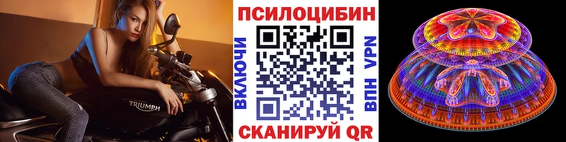 Галлюциногенные грибы Psilocybe  купить наркотики сайты  мега сайт  Электроугли 